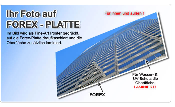 bild auf forex platte drucken